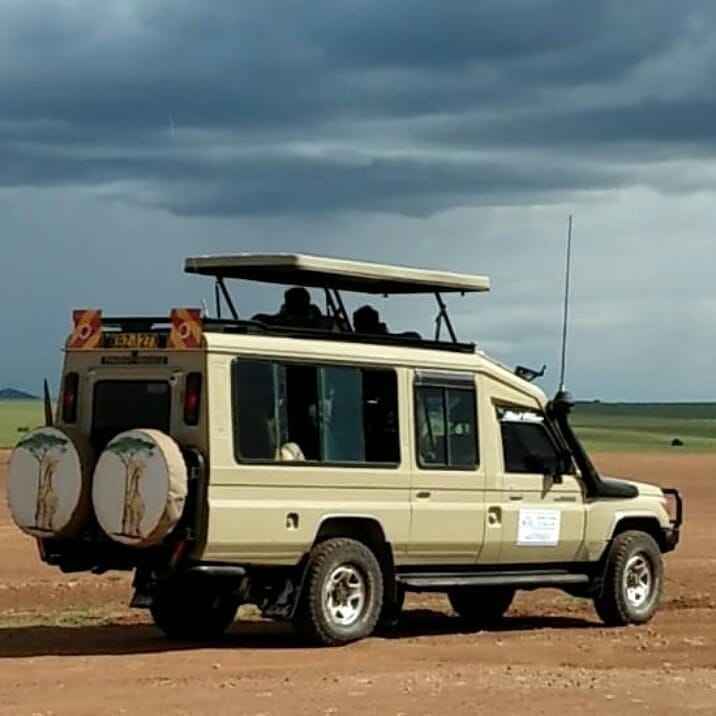 Affordable Land Cruiser for hire