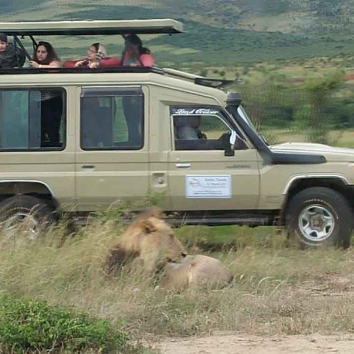 Masai mara Land Cruiser game drive