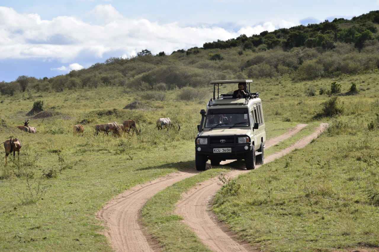Safari Land Cruiser for hire