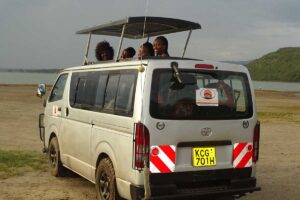 Game Drive Car Hire in Kenya