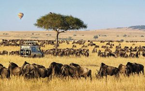 Masai-Mara-Safari-Packages