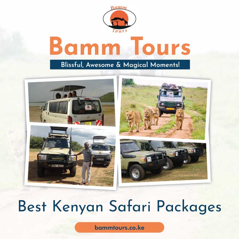 Best Kenya Safari Packages