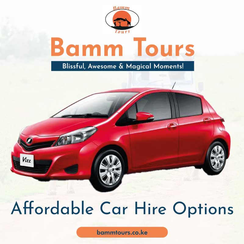 cheap-affordable-cars-for-hire-in-Kenya