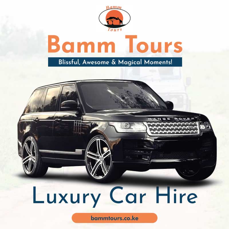 Luxury Family car hire in Kenya