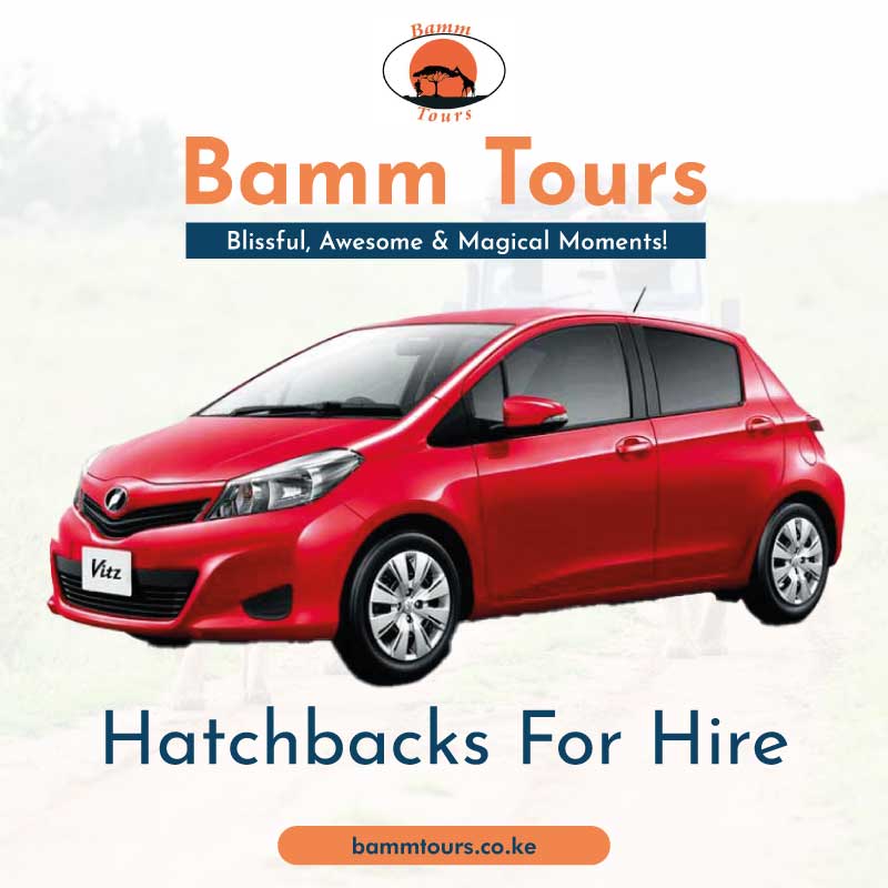The Best Hatchback Car Hire in Kenya Call +254 712 004 003