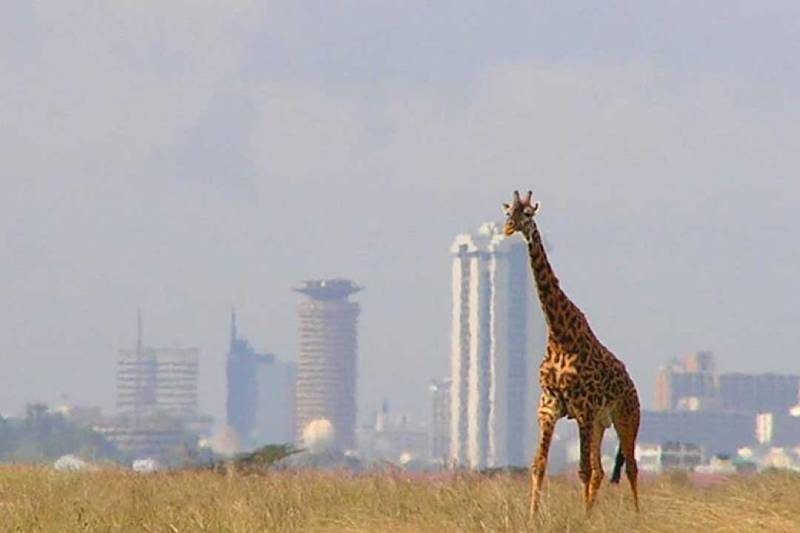 Best-Nairobi-National-Park-Tour-Safaris
