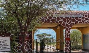 Best Samburu-Tour-Safari-Packages