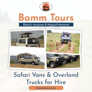 The Best Safari Car Hire Company in Kenya