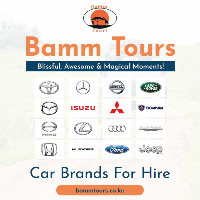 Bamm-Tours-Widest-selection-of-Car-Brands-For-Hire-in-Kenya.