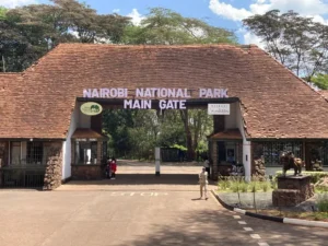 nairobi-national-park-tour packages