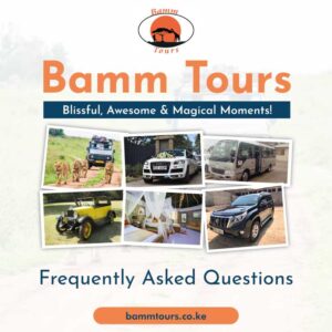Bamm Tours FAQs