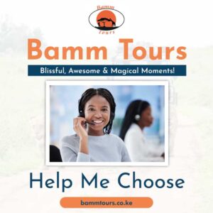 How to Choose the Right Car for Your Trip in Kenya - Help me choose