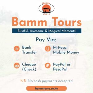 Bamm Tours Payment Options