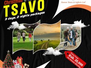 The Best Christmas Tsavo Safari Tour Packages in Kenya with Bamm Tours