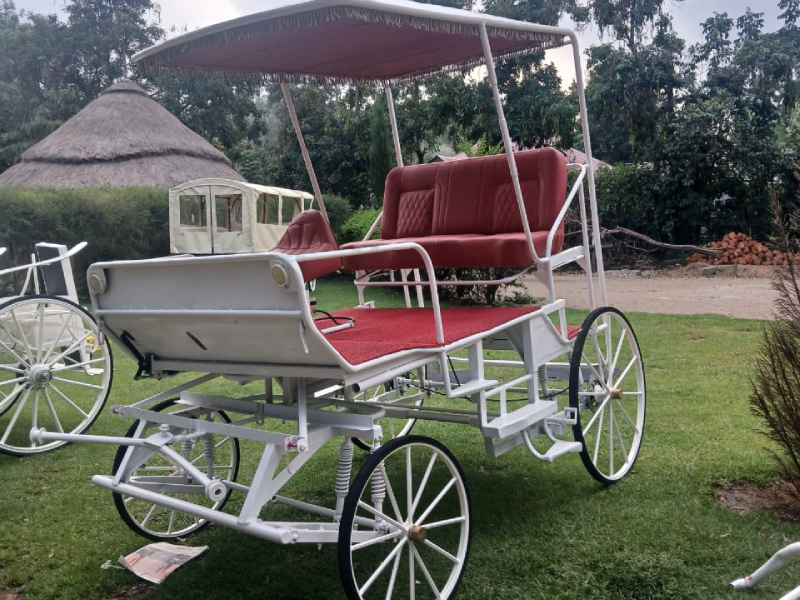 The Best White Horse Carriage Services For Hire in Nairobi Kenya - Bamm Tours